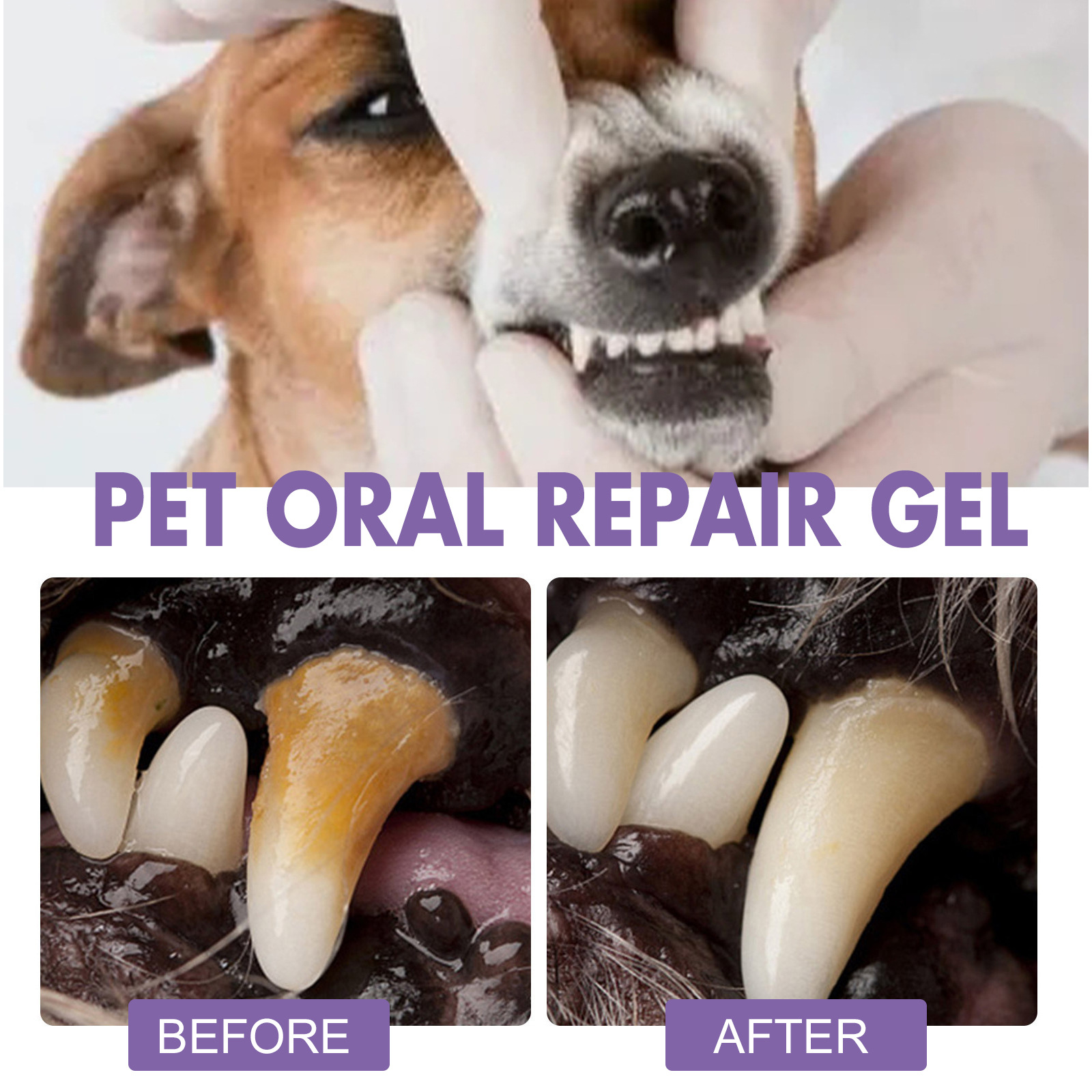 Pet Oral Repair Gel Puppy Tart - Teeth Whitening Hydrogen Peroxide recension och pris